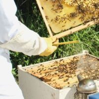 Sustainable Tours
