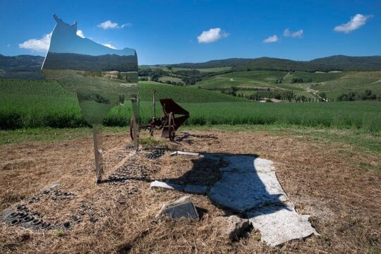 Montalcino, trekking in the vineyard, Enomusicale tasting and Cacio di Pienza!