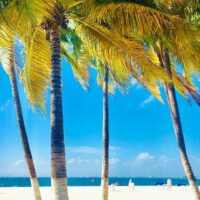 Walking & Biking Tours