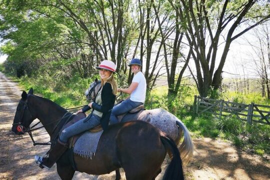 1.5 hr Horseback Riding in Open Door, Luján, Buenos Aires