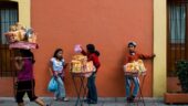 Centro Historic Tour with Galo