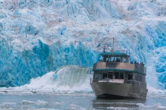 Tracy Arm Fjord and Glacier Explorer