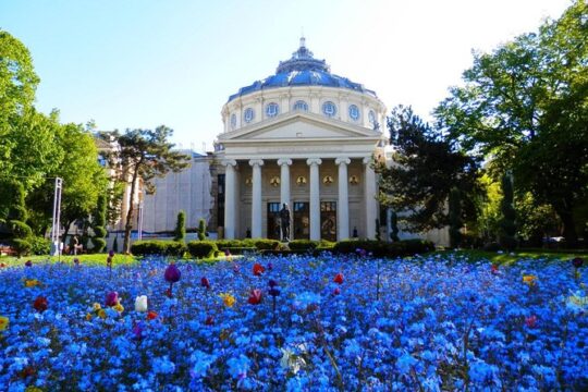 Bucharest Layover Tour (6 - Hour Private City Tour Between Flights)