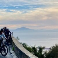 Bike Rentals