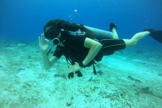 3 hours Scuba Diving in Cozumel