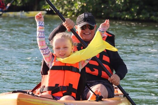 Mangroves Kayaking Tour from Cancun