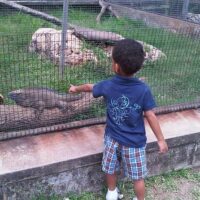 Zoo Tickets & Passes