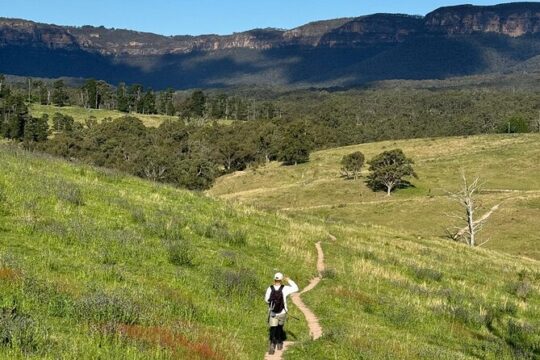 Blue Mountains Gems Tours