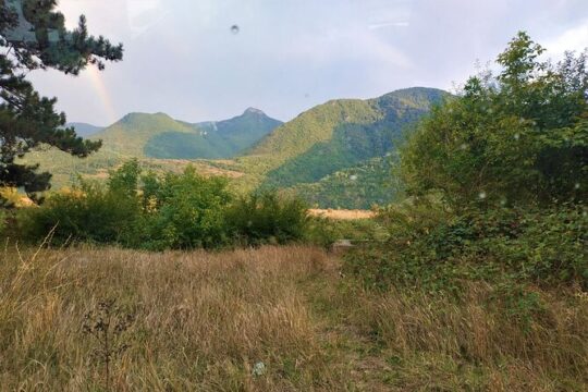 8 Days/7 Nights Health and Wellness Tour Package in Georgia