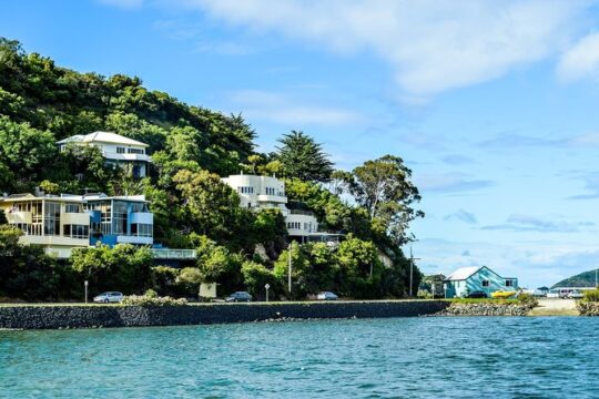 Captivating Side of Dunedin Walking Tour for Couples
