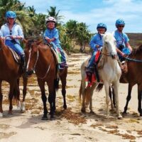Multi-day & Extended Tours