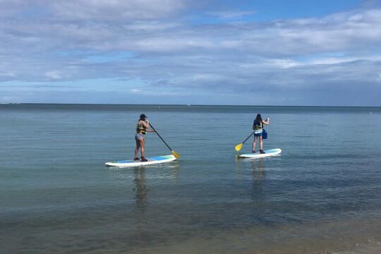 All Day PaddleBoard Rental