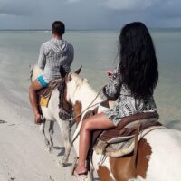 Horseback Riding