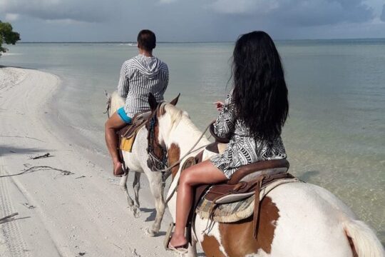 Holbox Horseback Riding in Nature Experience