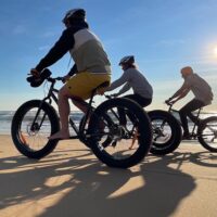 Private & Custom Tours