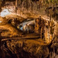 Shore Excursions