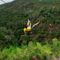 Ziplines