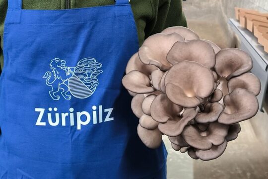 Mushroom Farm Tour in Zurich – Discover the World of Mushrooms