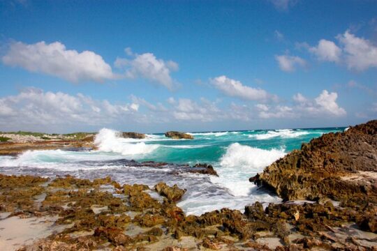 Jeep Tour of Cozumel with Lunch and Beach Club