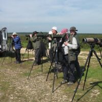 Multi-day Tours