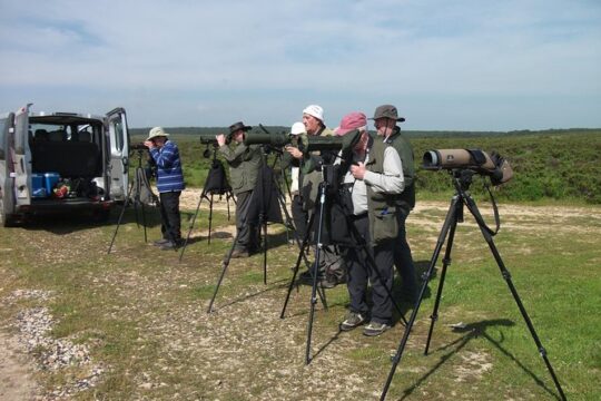 Birdwatching week for bird entousiasts