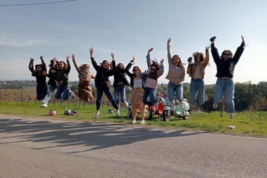 Charming Afternoon Vespa Wine Tour in Chianti With Dinner