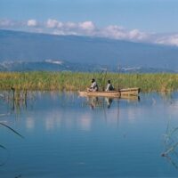 Cultural & Theme Tours