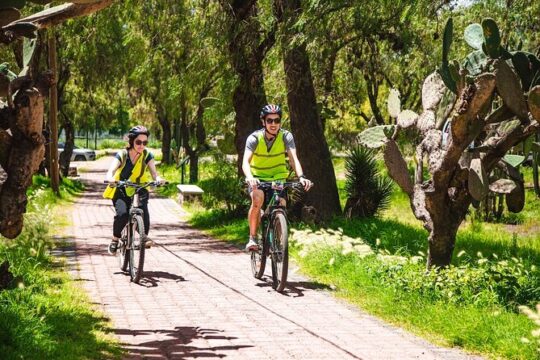 Bike Tour Teotihuacan History and Culture and Pulque Tasting