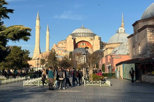 Istanbul Must See Highlights Sightseeing and Walking Tour
