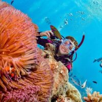 Snorkeling
