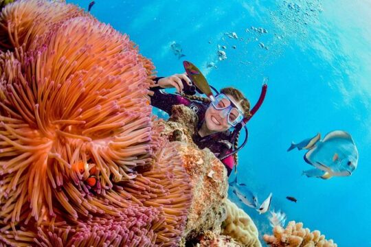 Margaritaville/Jeski Tour or Snorkeling in Montego Bay