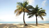 Wonderful tour in Antigua!