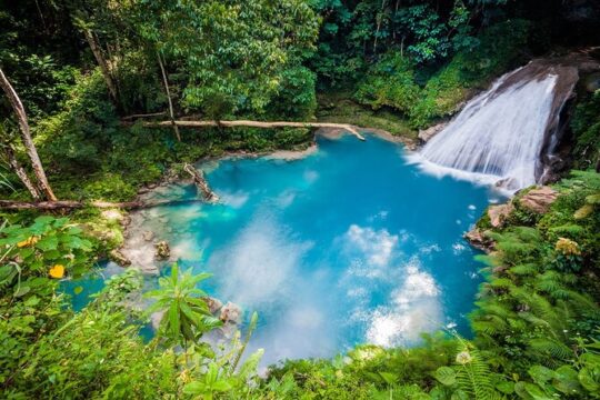 Reach Falls From Ocho Rios