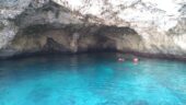 Great Experience