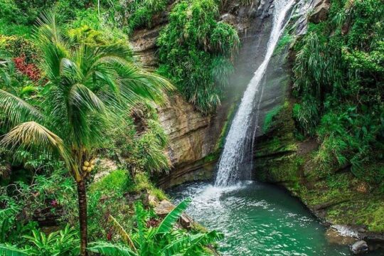 Grenada Must-See Places Western Island Tour