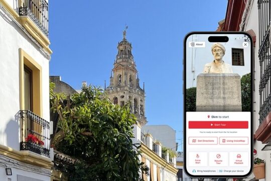 Cordoba Private Walking Tour with Calleja de las Flores