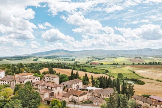 Farm Experience on Tenuta di Mensanello Olive and Wine Tasting