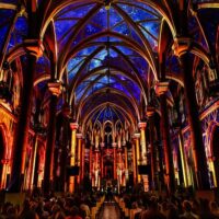 Shows, Concerts & Sports