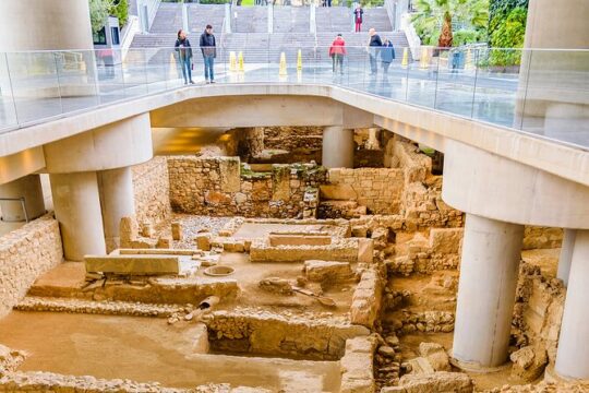 Private Acropolis Museum Tour - Tickets Included
