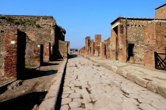 Skip the Line Full day Tour of Pompeii through the Ancient Domus