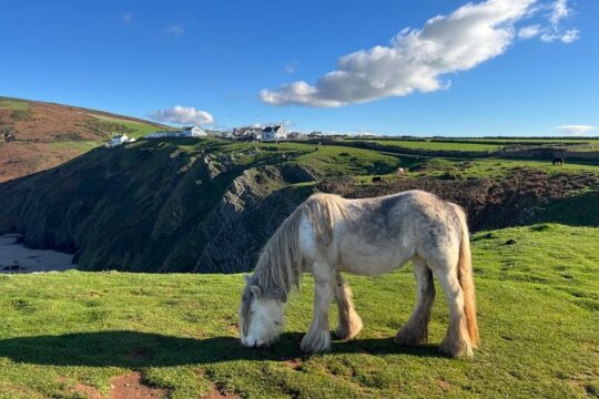 Private Day Tour of Gower's Cliffs & Beaches from Cardiff
