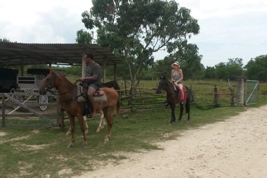 Horseback Ride and Mayfield Falls combo from Negril
