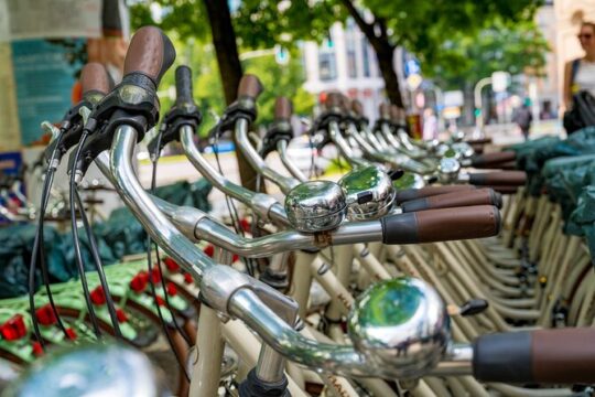 Private Munich City Bike and English Garden Tour