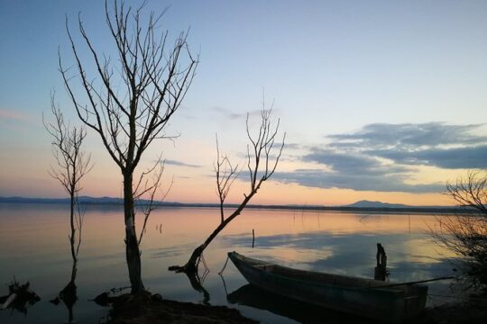 Day Trip: Speedboat Tour Of Lake Trasimeno With Lunch + Assisi Private Tour