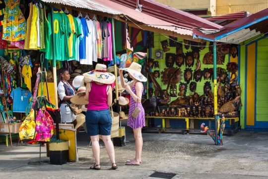 Private Ocho Rios Highlights Tour with Pickup