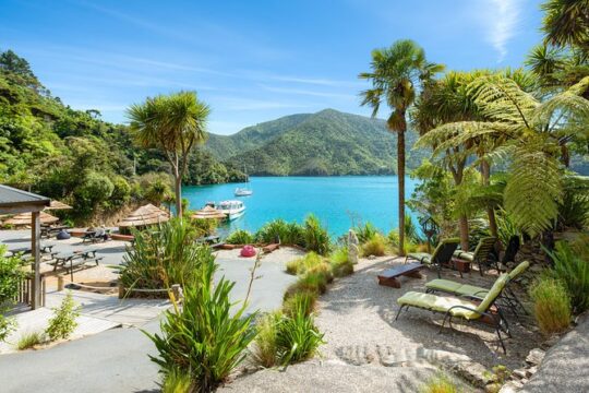 Happy Hour Cruise to Lochmara -from Picton? Take a short cruise
