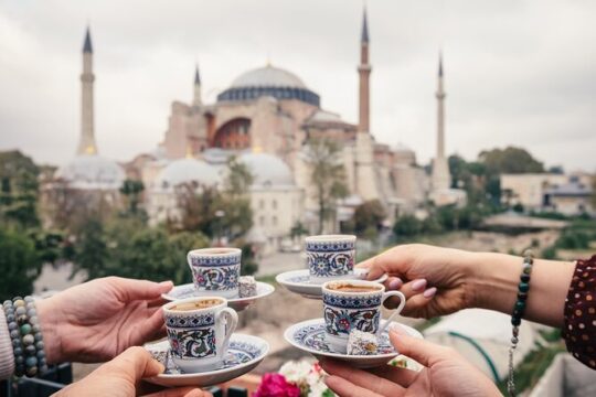Experience Istanbul's History and Culture by Minivan