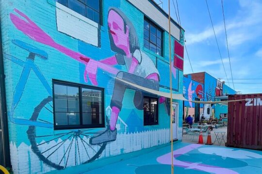 E-Bike Mural Tour of Roanoke