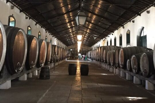 Sintra & Coastal Allure Wine Tasting Tour with Tickets