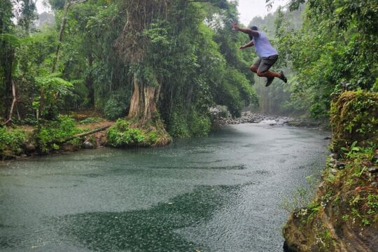 El Yunque National Rainforest and Luquillo Beach Tour